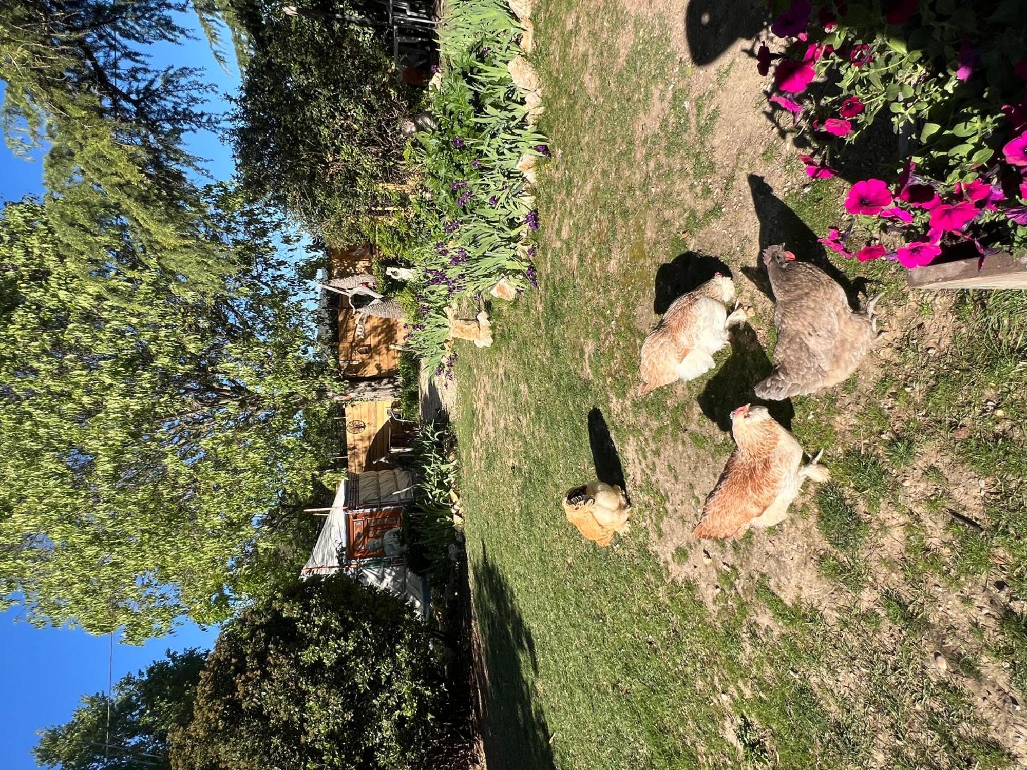 グレウー・レ・バン Bastide Du Bonheur Saint Donat Bed & Breakfast エクステリア 写真